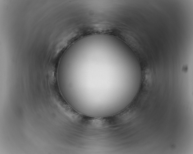 X0000111790615200907301147