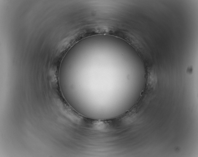 X0000111790616200907301147