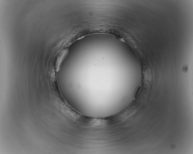 X0000111790617200907301147