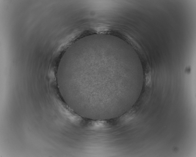 X0000111790618200907301147