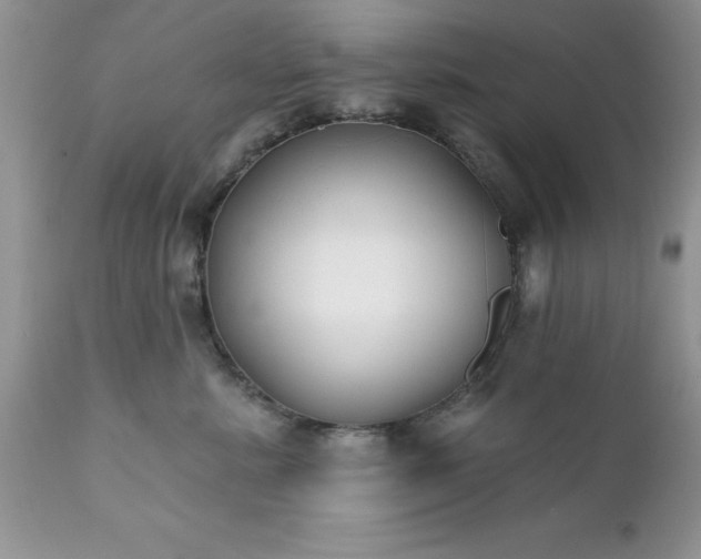 X0000111790619200907301146