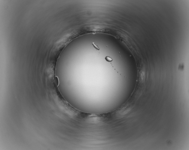 X0000111790620200907301146