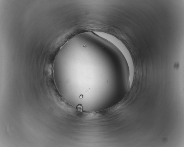 X0000111790621200907301146