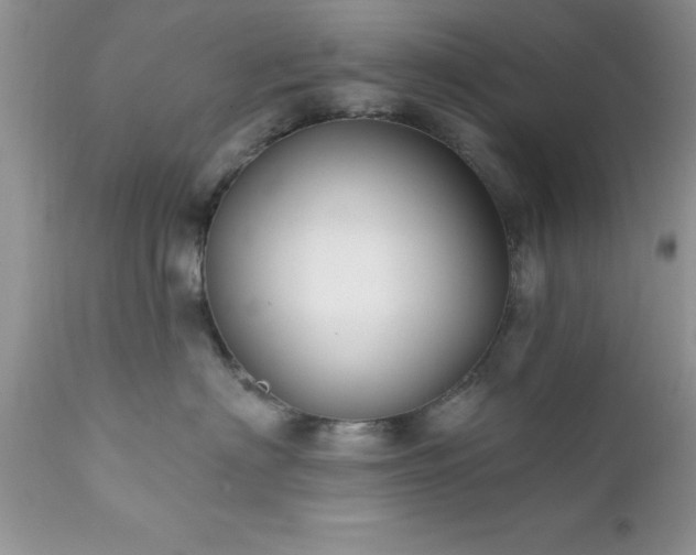 X0000111790622200907301146