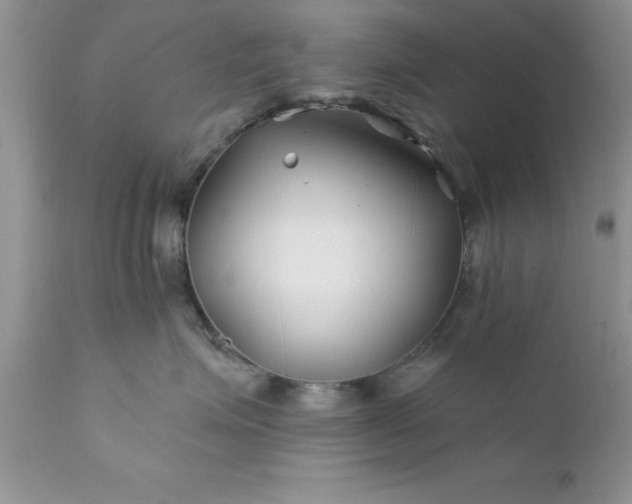 X0000111790623200907301146