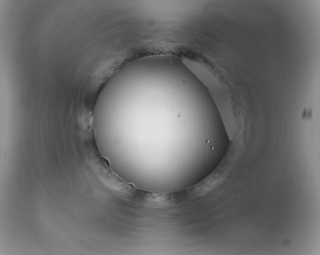 X0000111790624200907301146