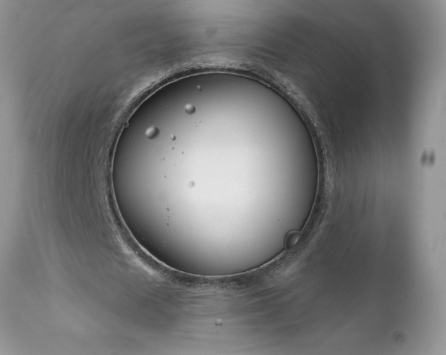 X0000111790625200907301146