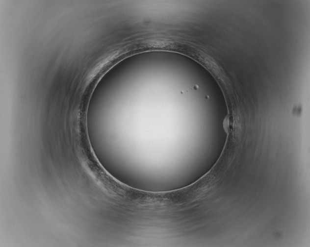 X0000111790626200907301146