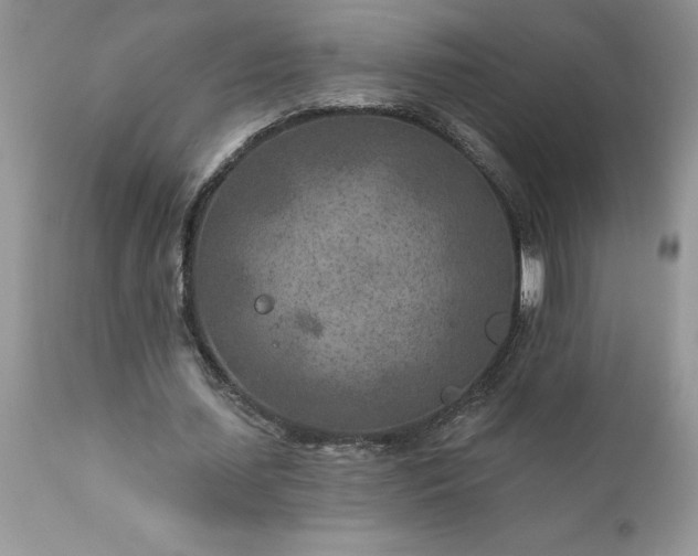 X0000111790627200907301146