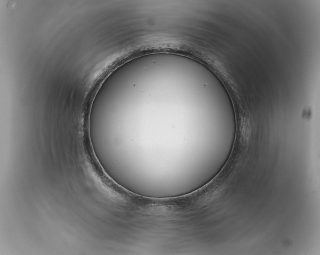 X0000111790629200907301146