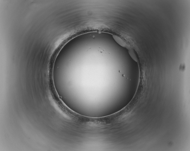 X0000111790630200907301146