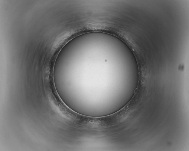 X0000111790631200907301146