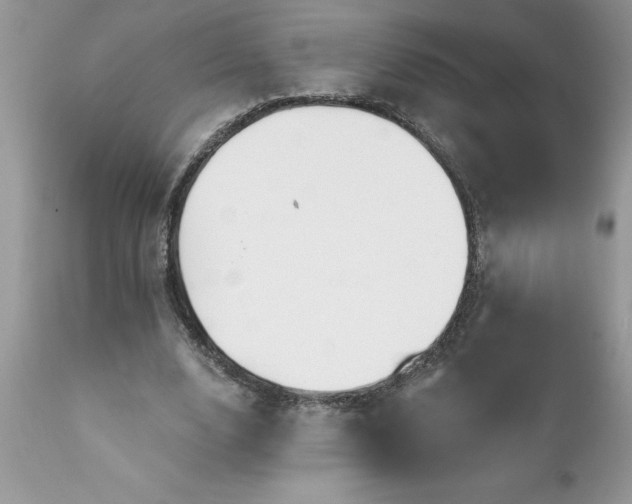 X0000111790632200907301146