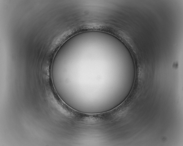 X0000111790633200907301146