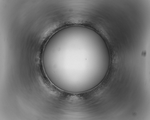 X0000111790635200907301146