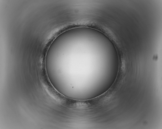 X0000111790636200907301146