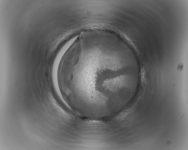 X0000111790637200907301146