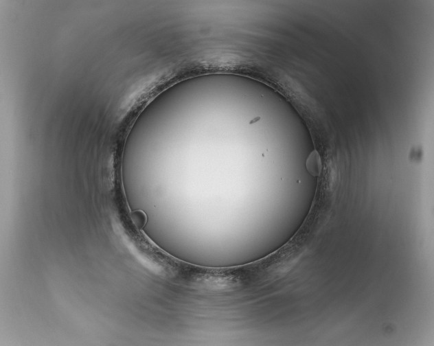 X0000111790638200907301146