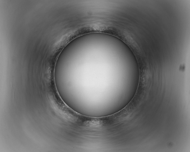 X0000111790639200907301146