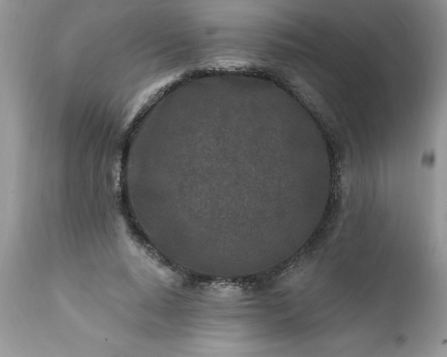 X0000111790640200907301146