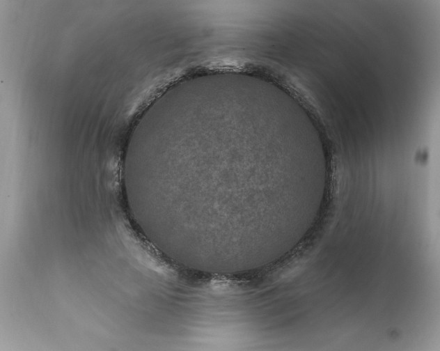 X0000111790641200907301146