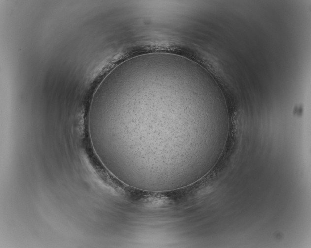 X0000111790642200907301146