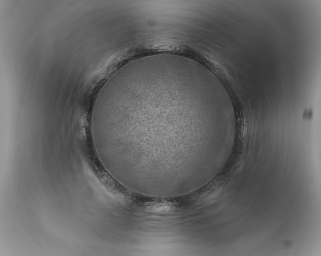 X0000111790643200907301146