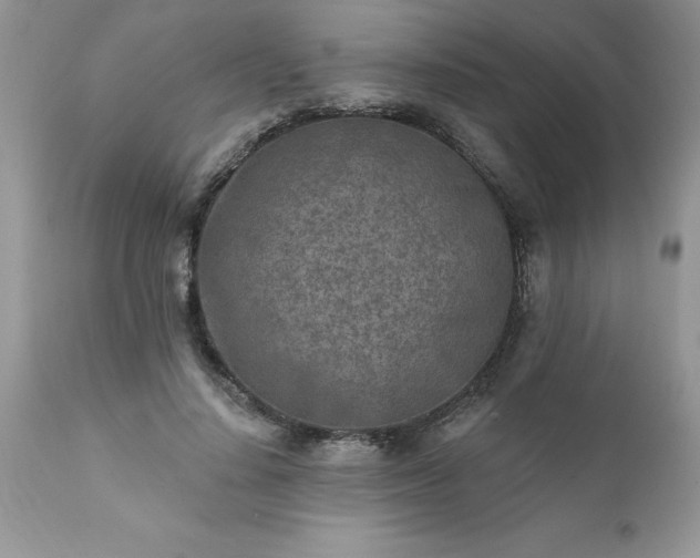 X0000111790644200907301146