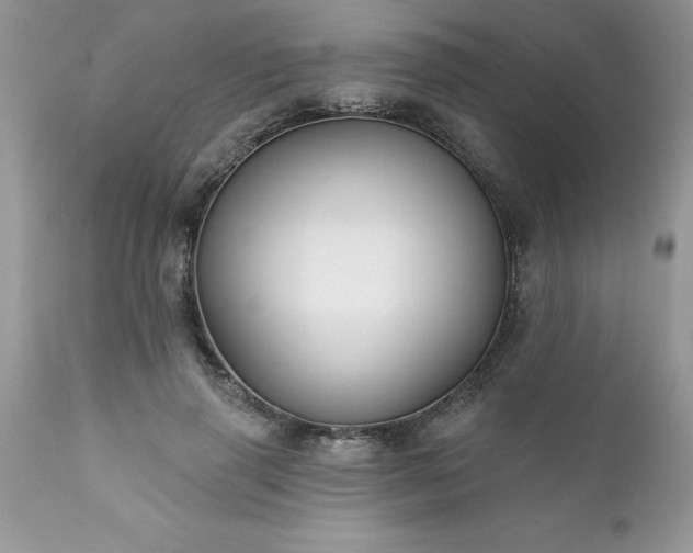 X0000111790645200907301146