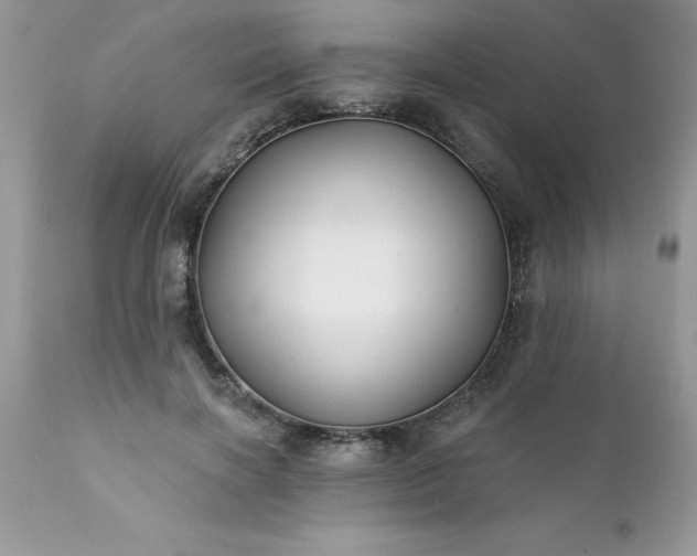 X0000111790646200907301146