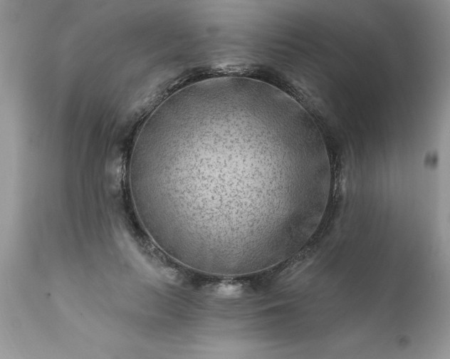 X0000111790647200907301146