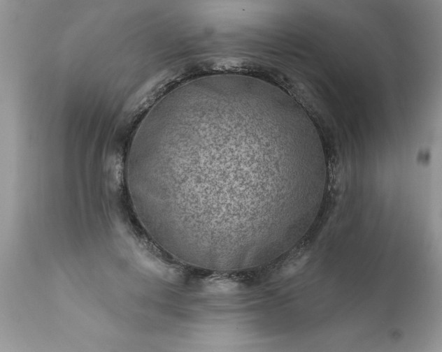 X0000111790648200907301146