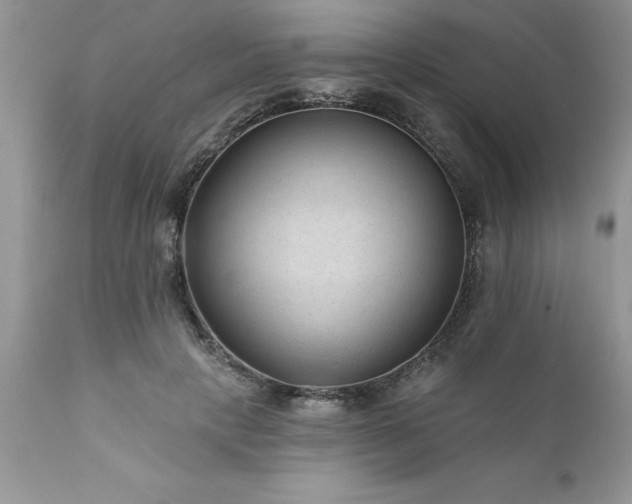 X0000111790649200907301146