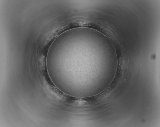 X0000111790650200907301146