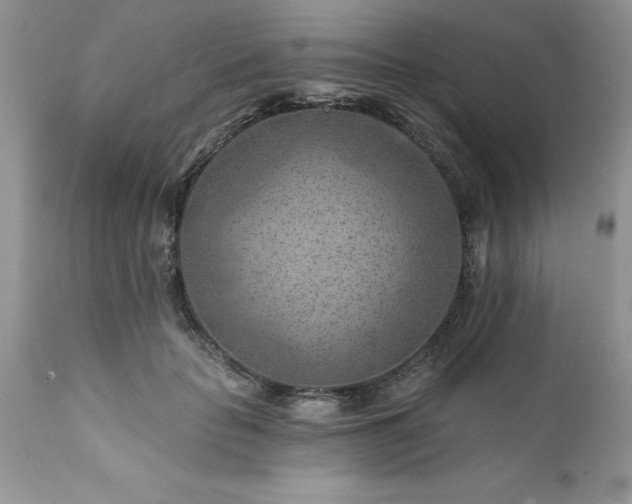 X0000111790653200907301146