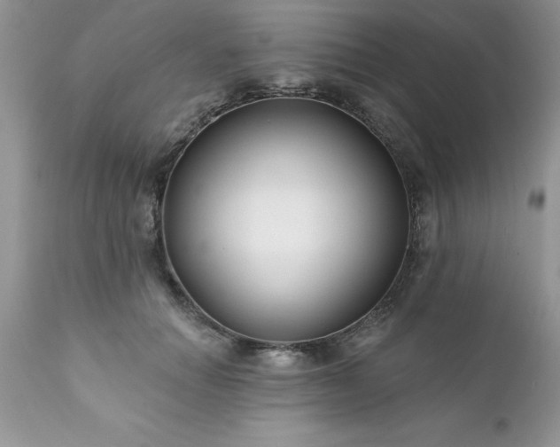 X0000111790654200907301146