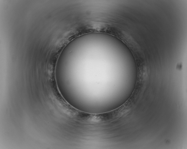 X0000111790656200907301146