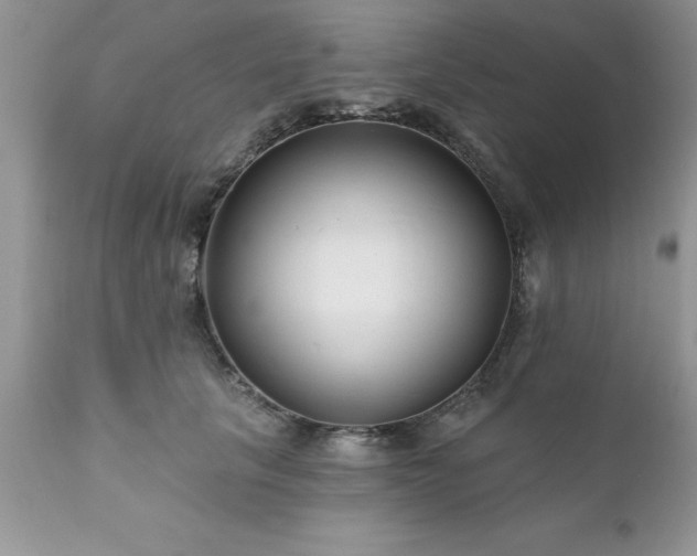 X0000111790657200907301146