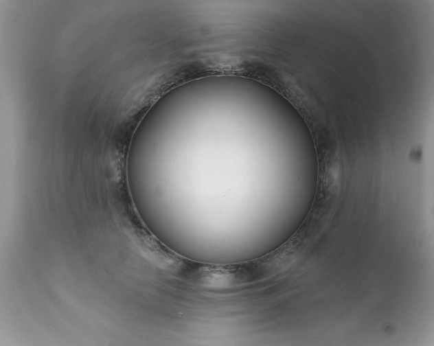 X0000111790658200907301146