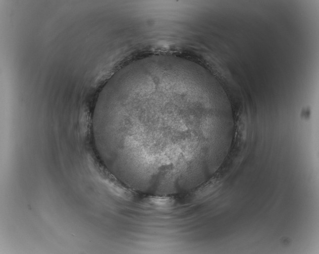 X0000111790659200907301146