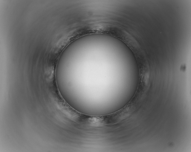 X0000111790660200907301146