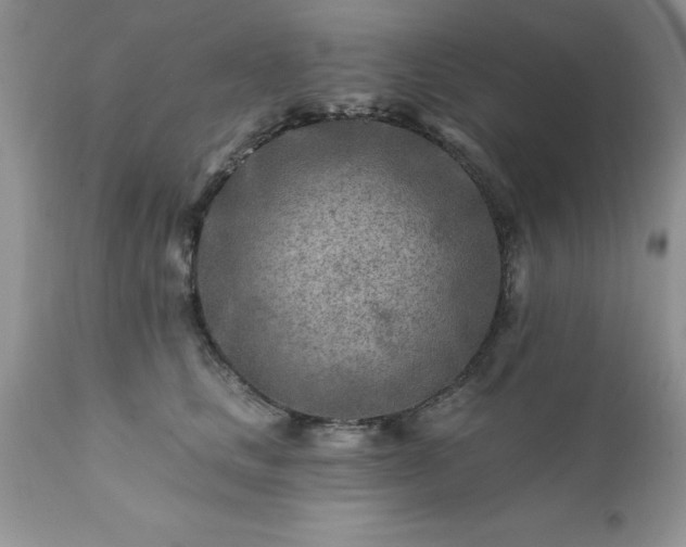 X0000111790661200907301146