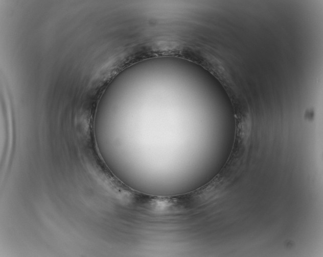 X0000111790662200907301146