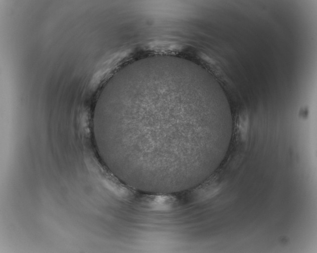 X0000111790663200907301146