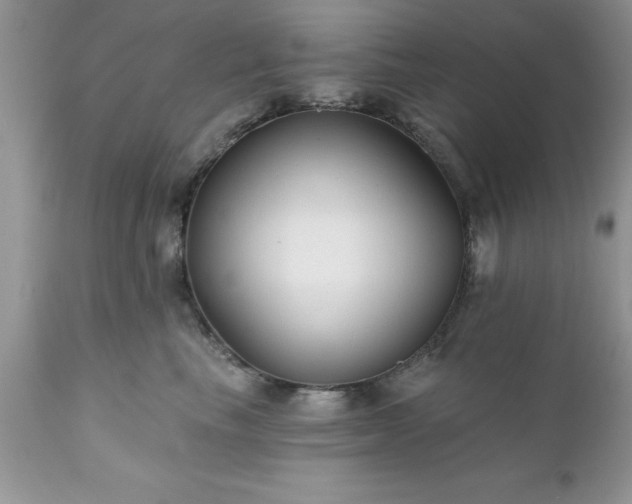 X0000111790665200907301146