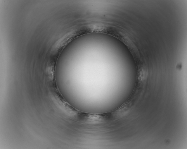 X0000111790666200907301146