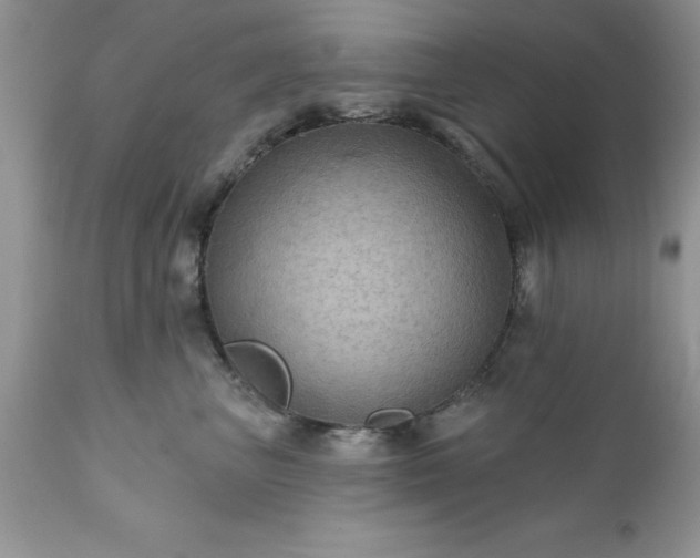 X0000111790667200907301146