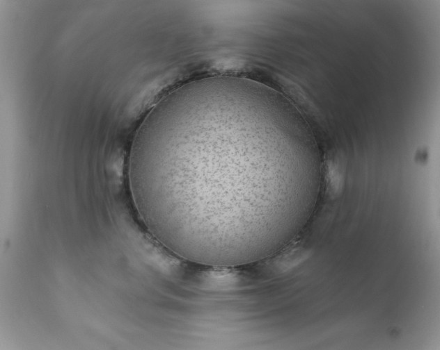 X0000111790668200907301146