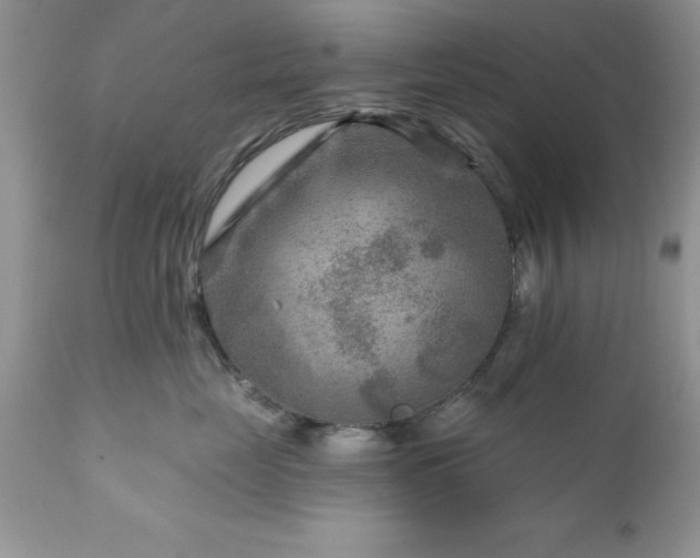 X0000111790669200907301146