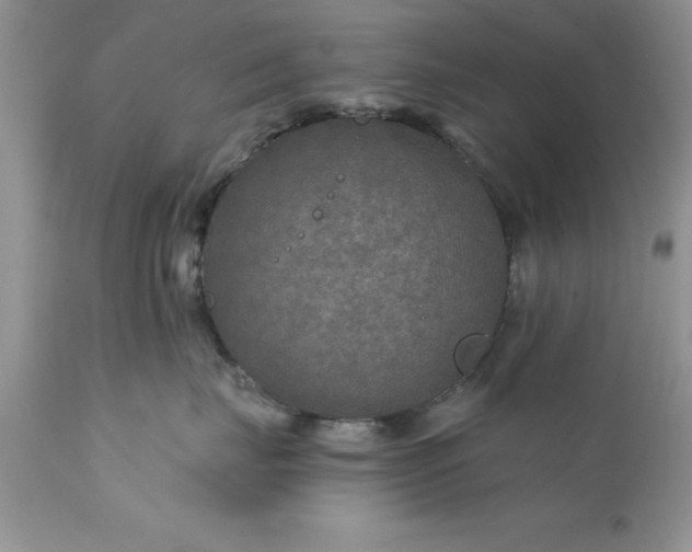 X0000111790671200907301146